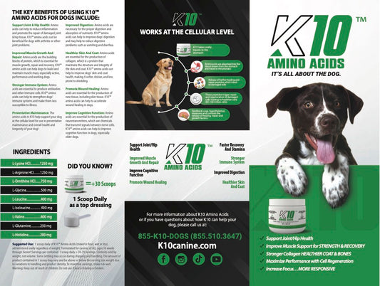 K10 Brochure